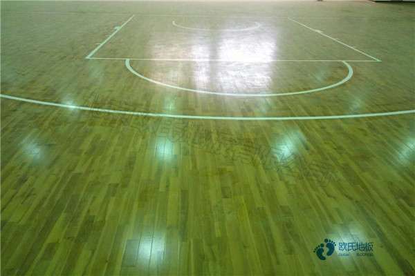 福建室內運動木地板施工團隊