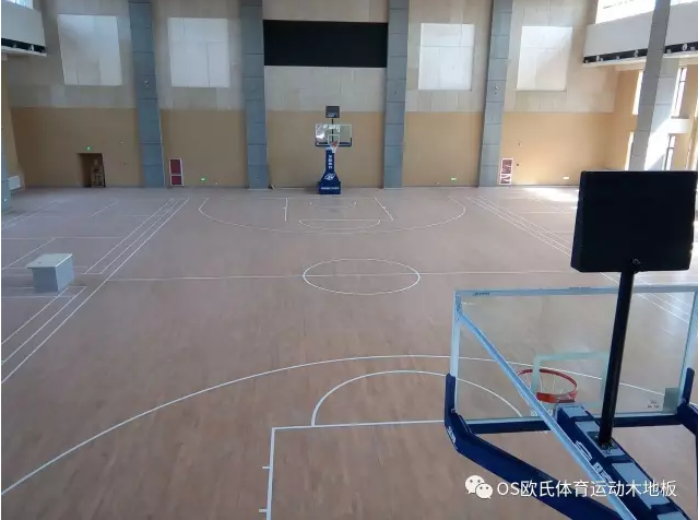 體育地板 體育地板
